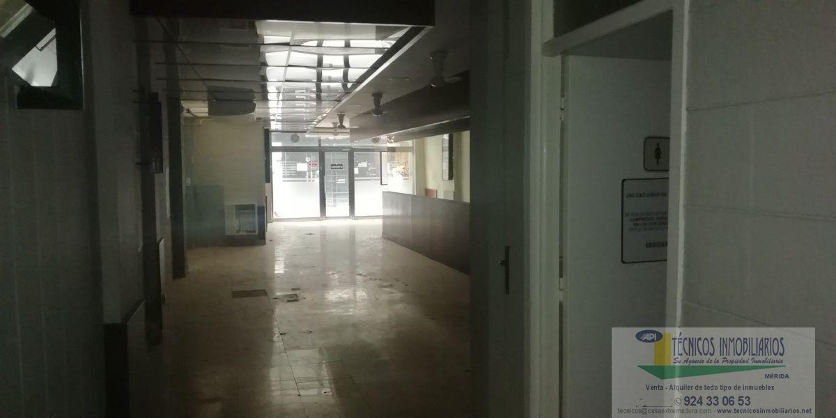 Alquiler de local en Mérida