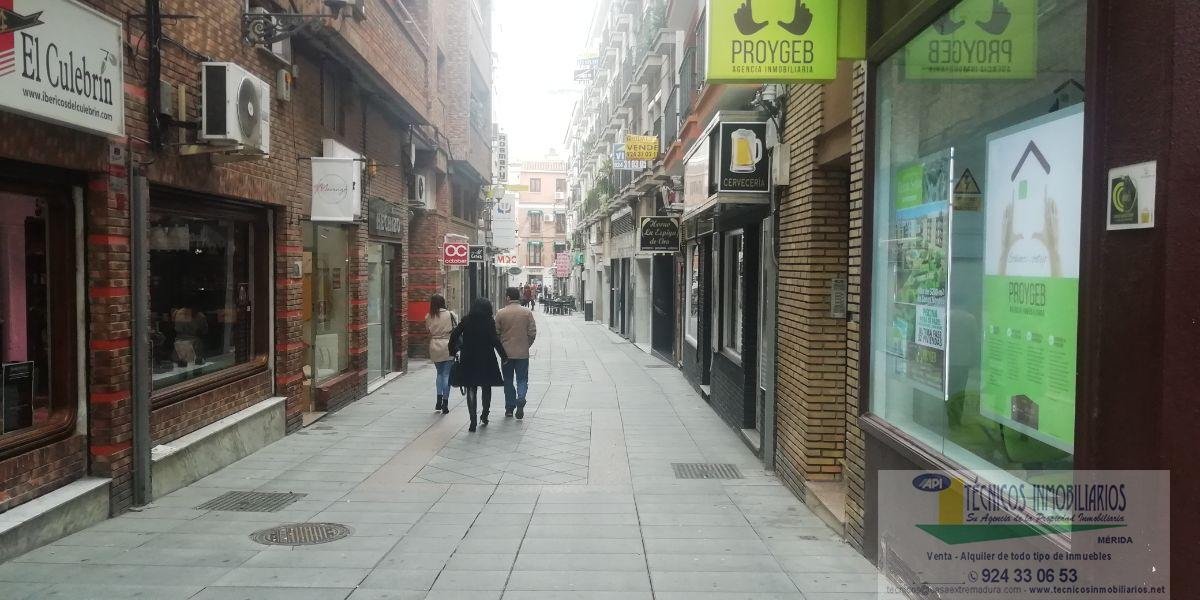Alquiler de local en Mérida