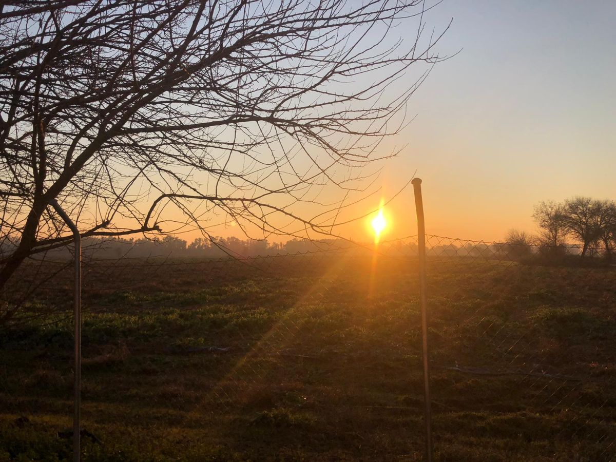 Zu verkaufen von erholung immobilien in
 Mérida