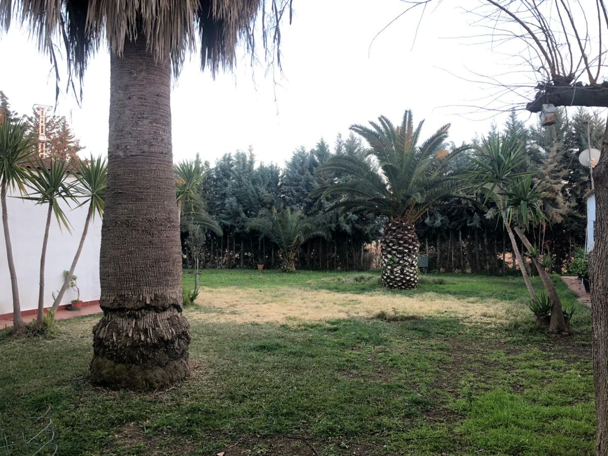 Zu verkaufen von erholung immobilien in
 Mérida