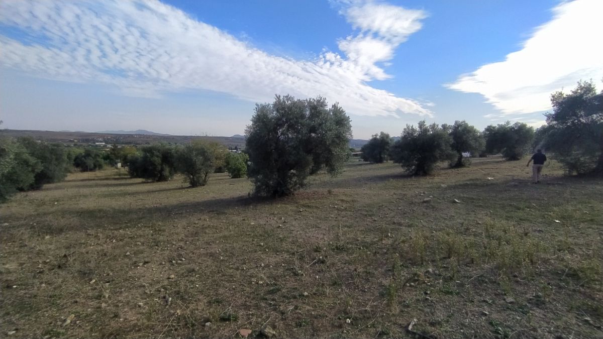 Venta de terreno en Mérida