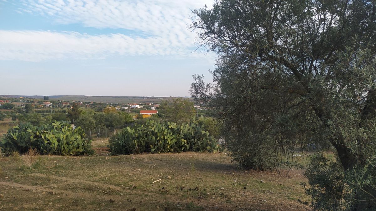 Venta de terreno en Mérida