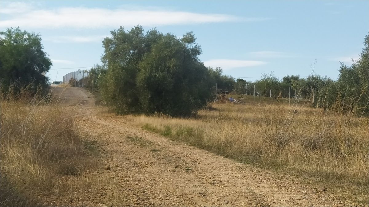 Venta de terreno en Mérida