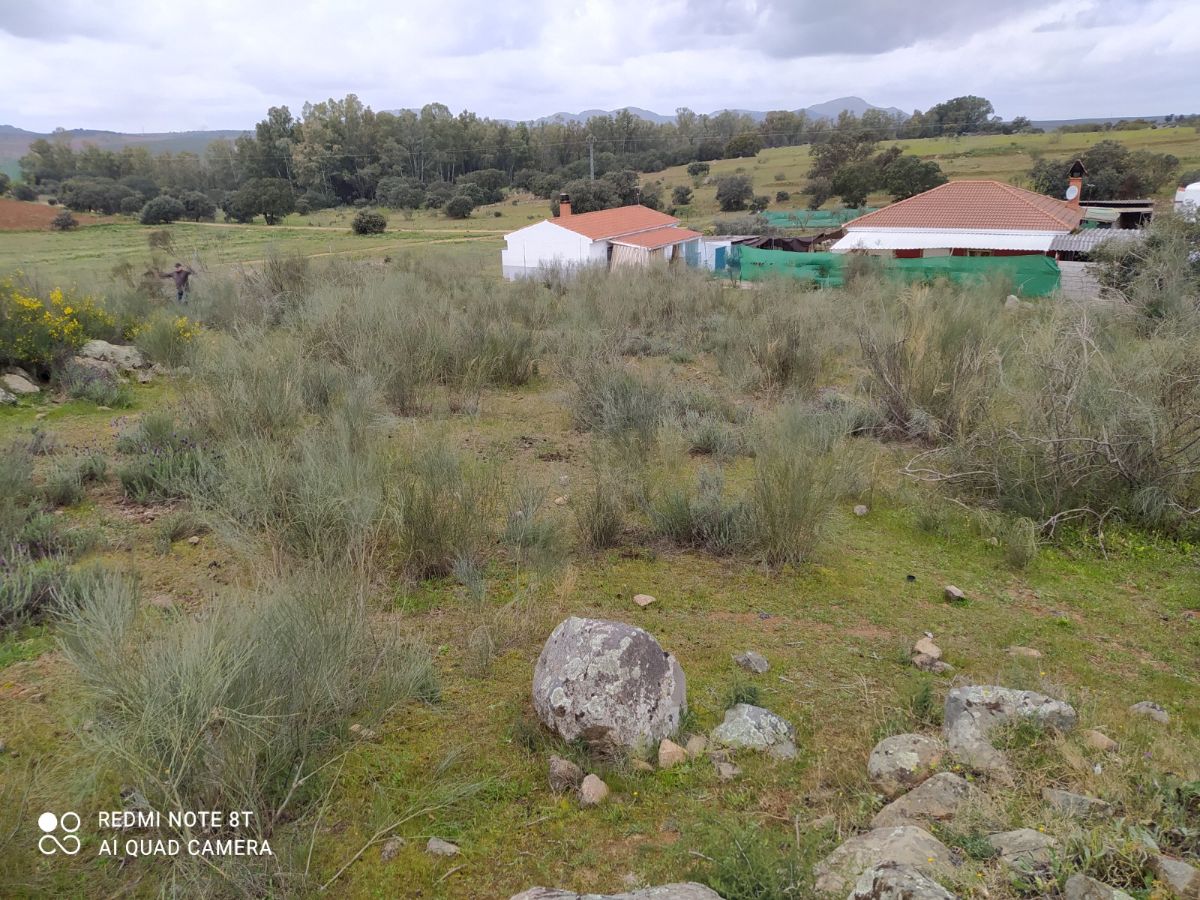 Venta de finca de recreo en Don Álvaro