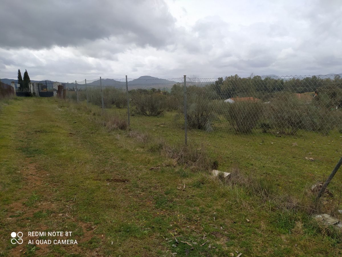 Venta de finca de recreo en Don Álvaro