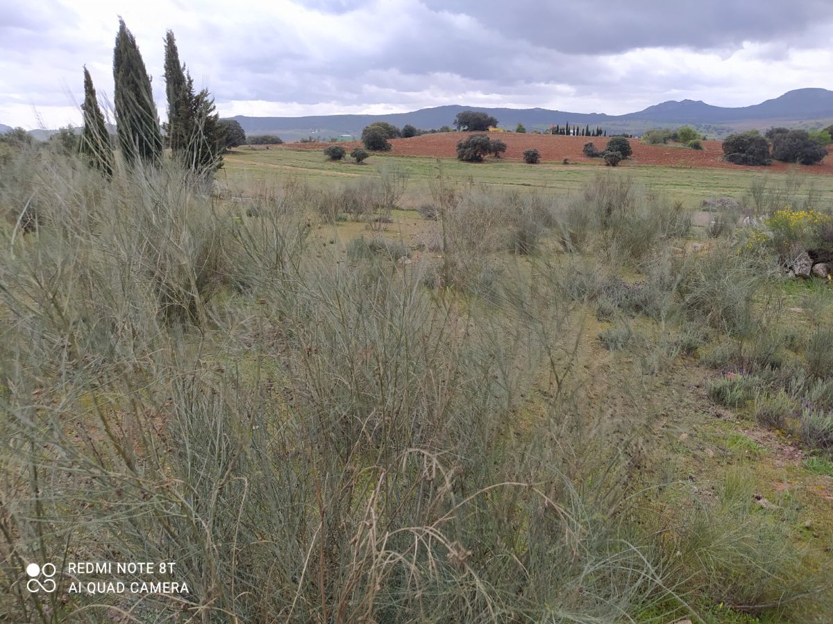 Venta de finca de recreo en Don Álvaro