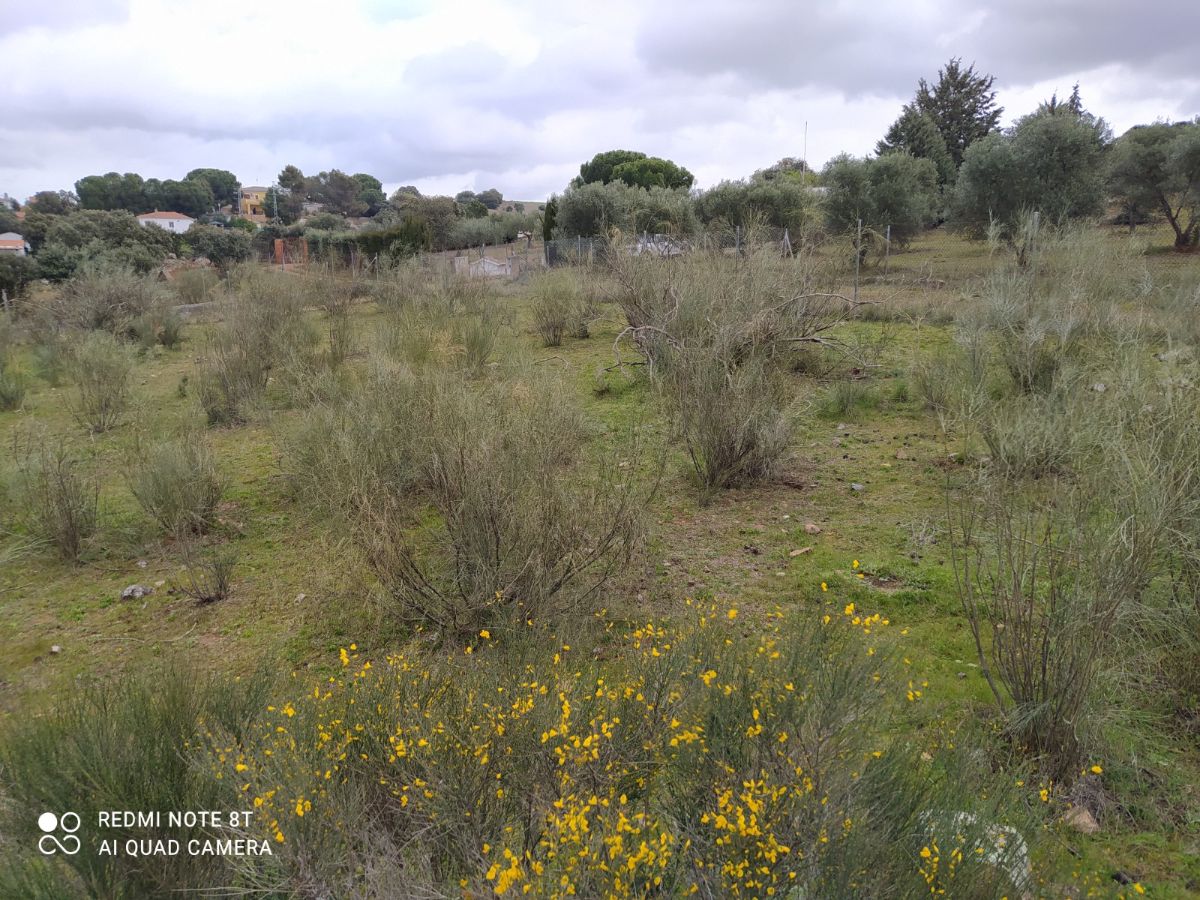 Venta de finca de recreo en Don Álvaro