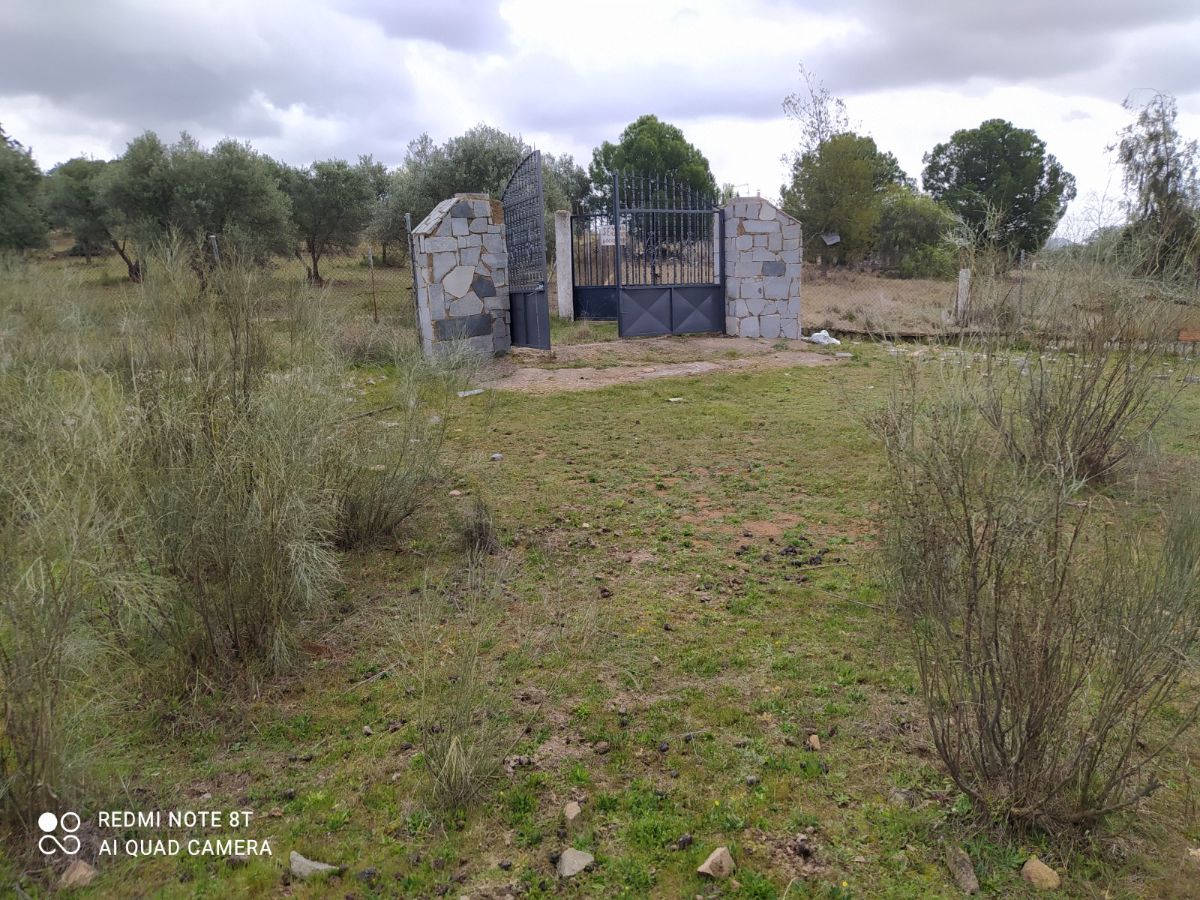 Venta de finca de recreo en Don Álvaro