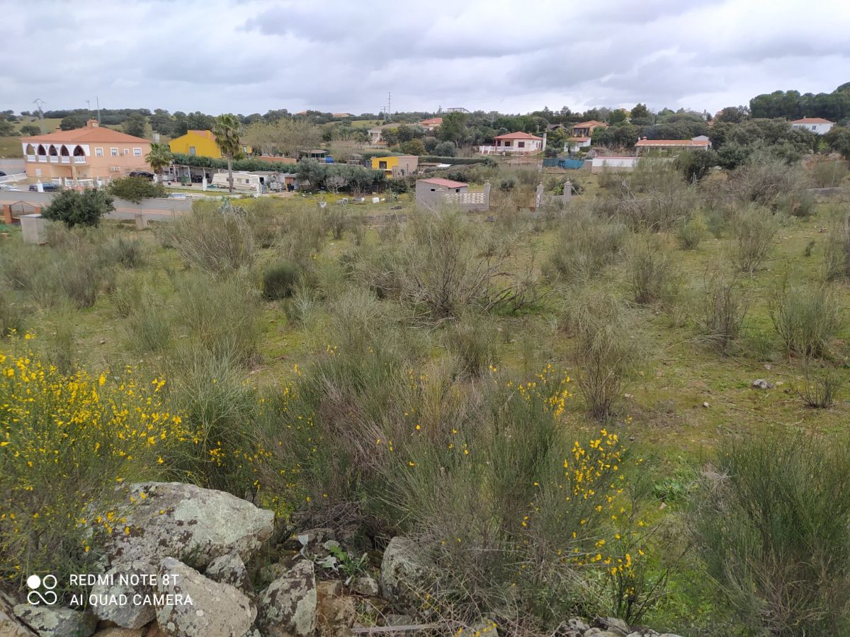 Venta de finca de recreo en Don Álvaro