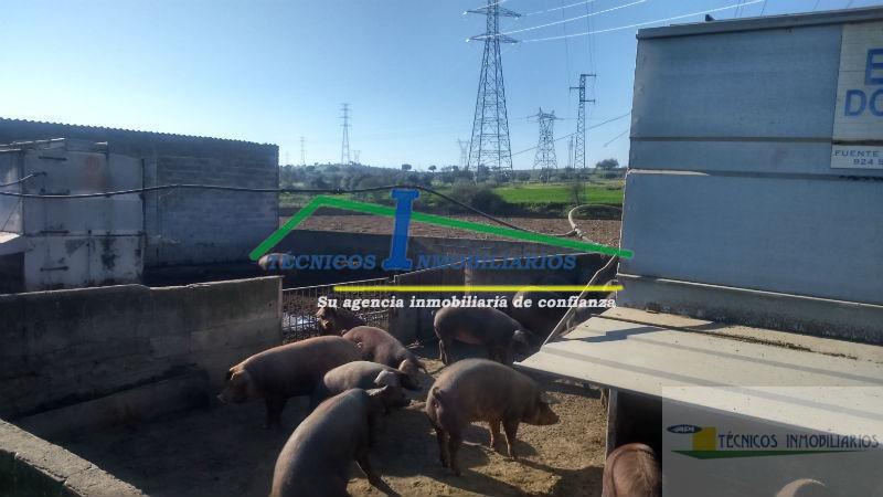 Venta de finca rústica en Mérida Venta de finca rústica en Mérida