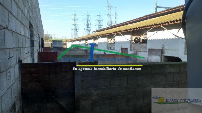Venta de finca rústica en Mérida