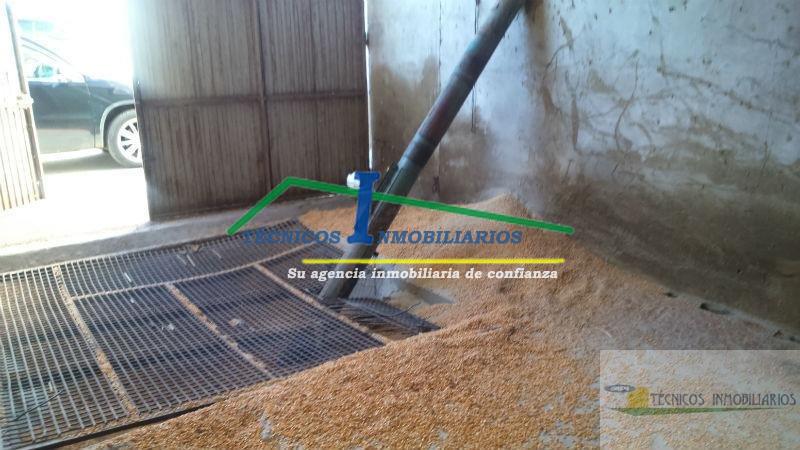 Venta de finca rústica en Mérida