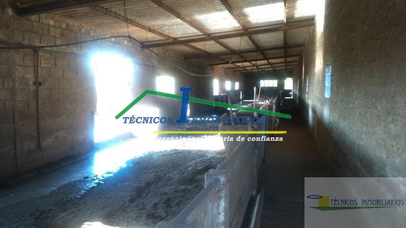 Venta de finca rústica en Mérida