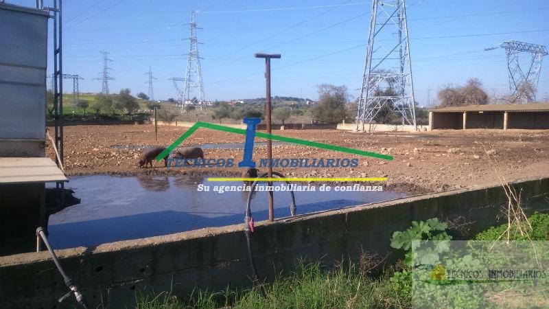 Venta de finca rústica en Mérida