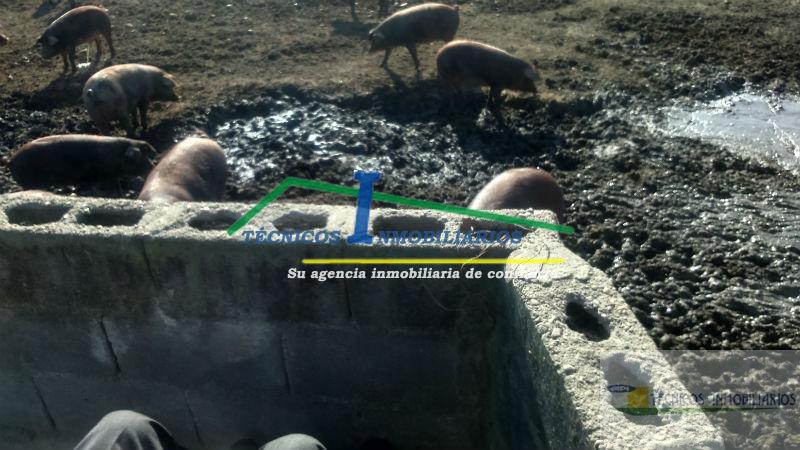 Venta de finca rústica en Mérida