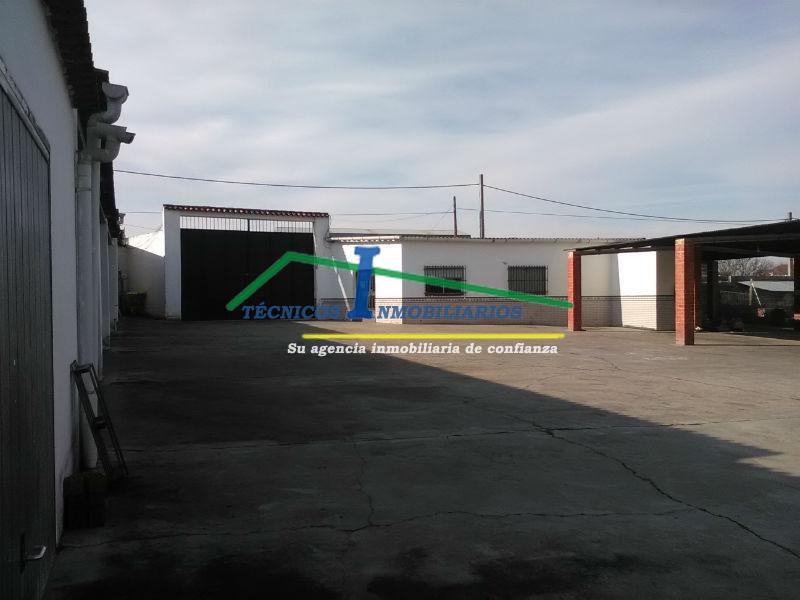 Alquiler de terreno en Trujillanos