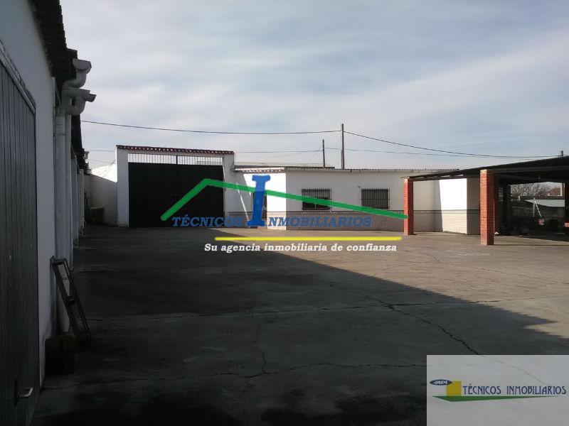 Alquiler de terreno en Trujillanos
