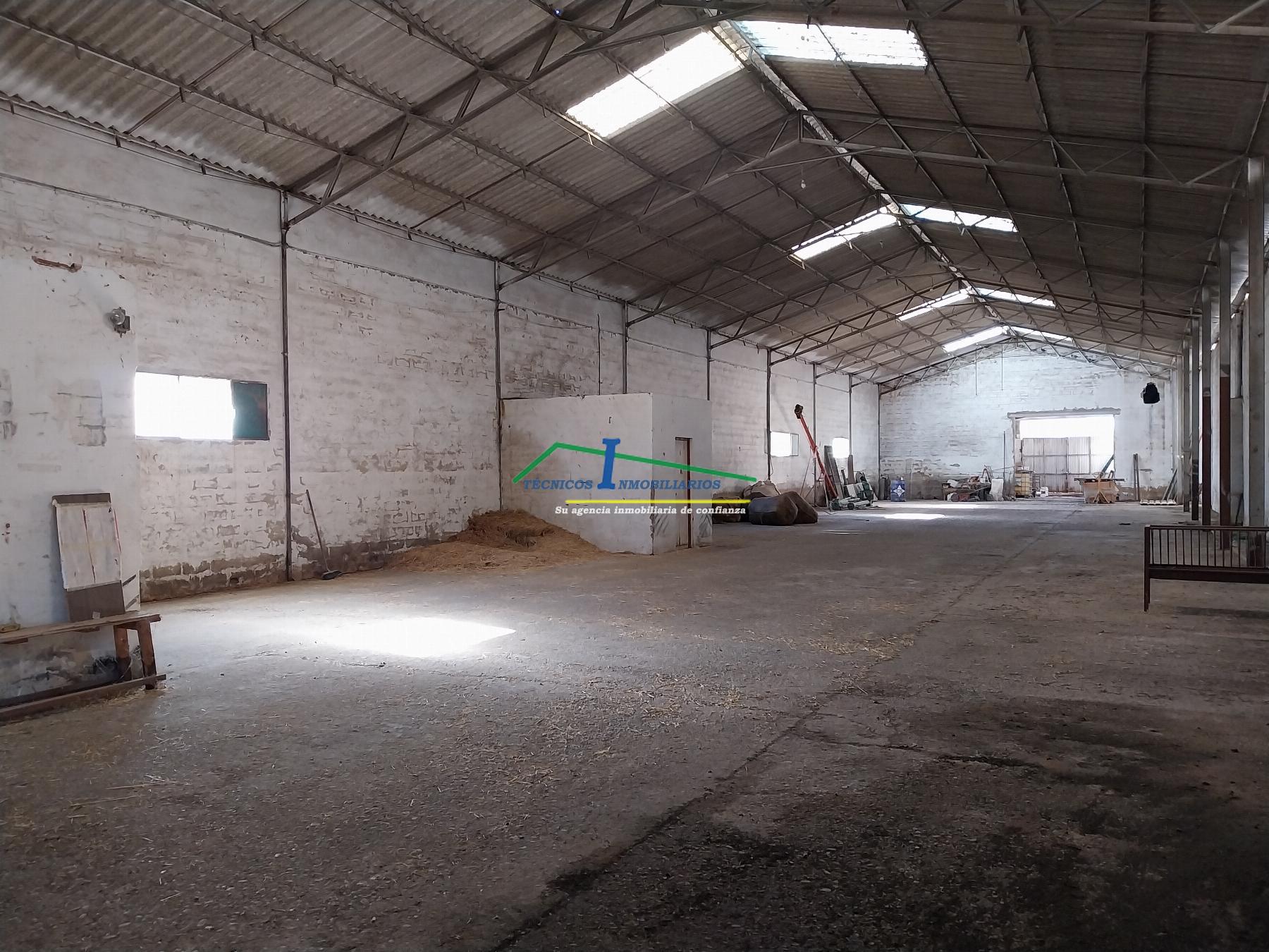 For rent of industrial plant/warehouse in Mérida