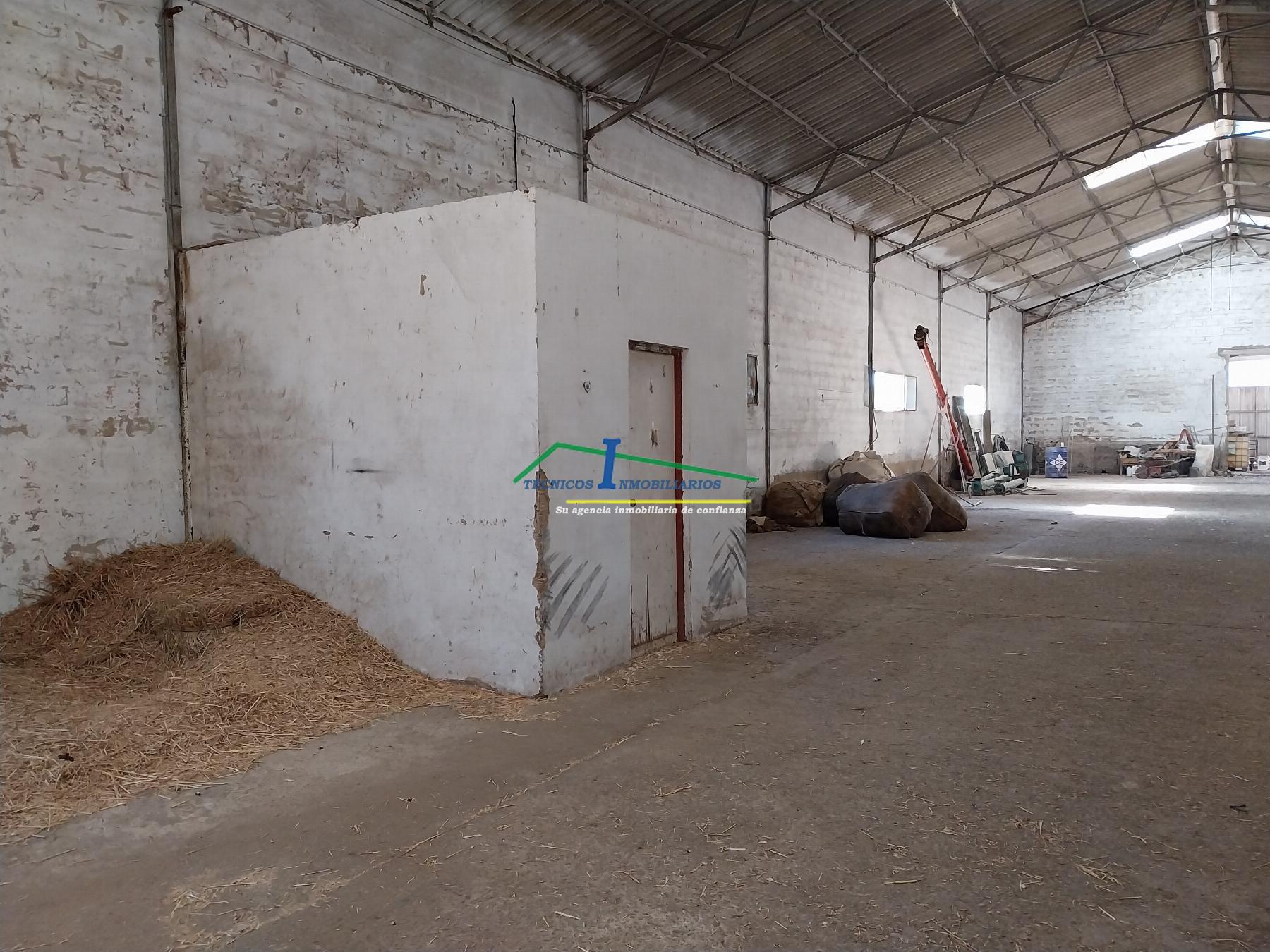 For rent of industrial plant/warehouse in Mérida