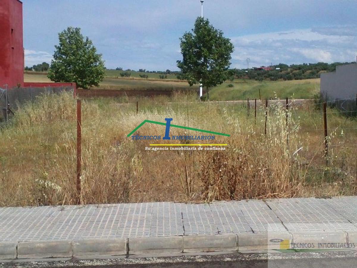 For sale of land in Mérida