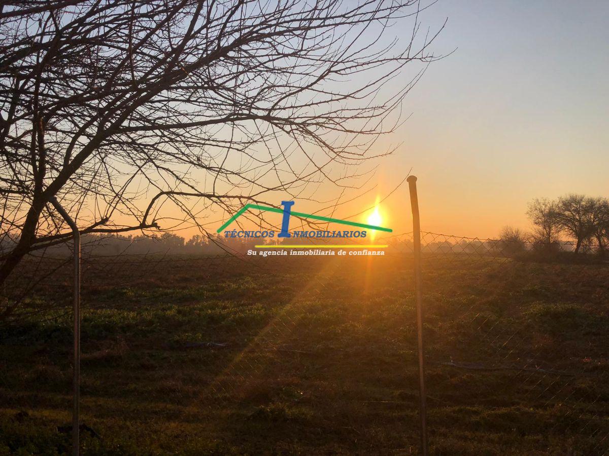 Venda de finca d´esbarjo a Mérida
