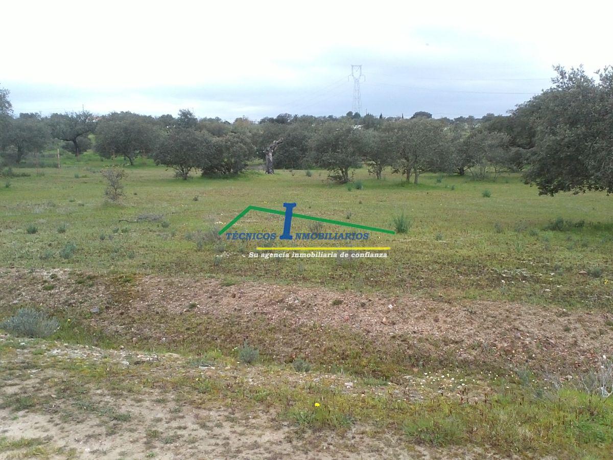 Venta de finca de recreo en Valverde de Mérida
