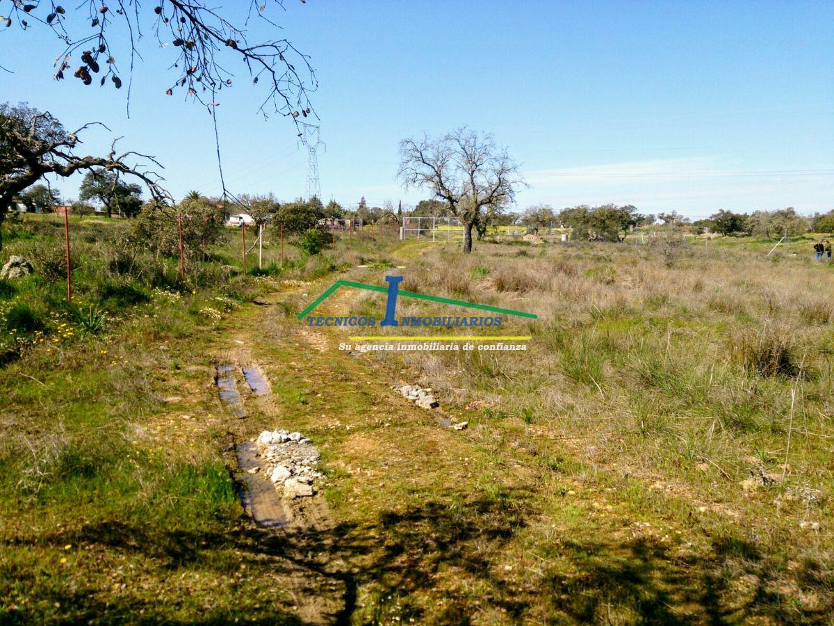 Venta de finca de recreo en Valverde de Mérida