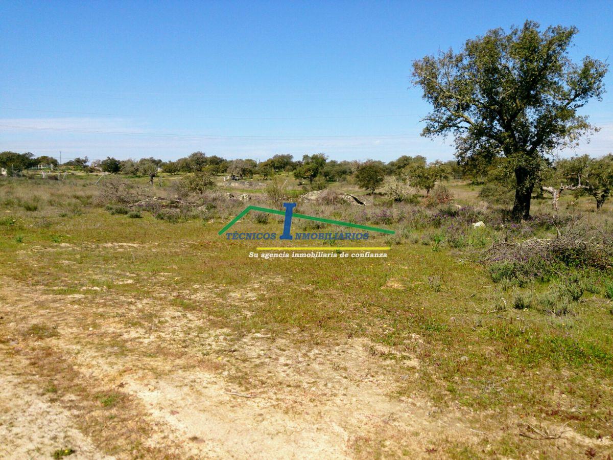 Venta de finca de recreo en Valverde de Mérida