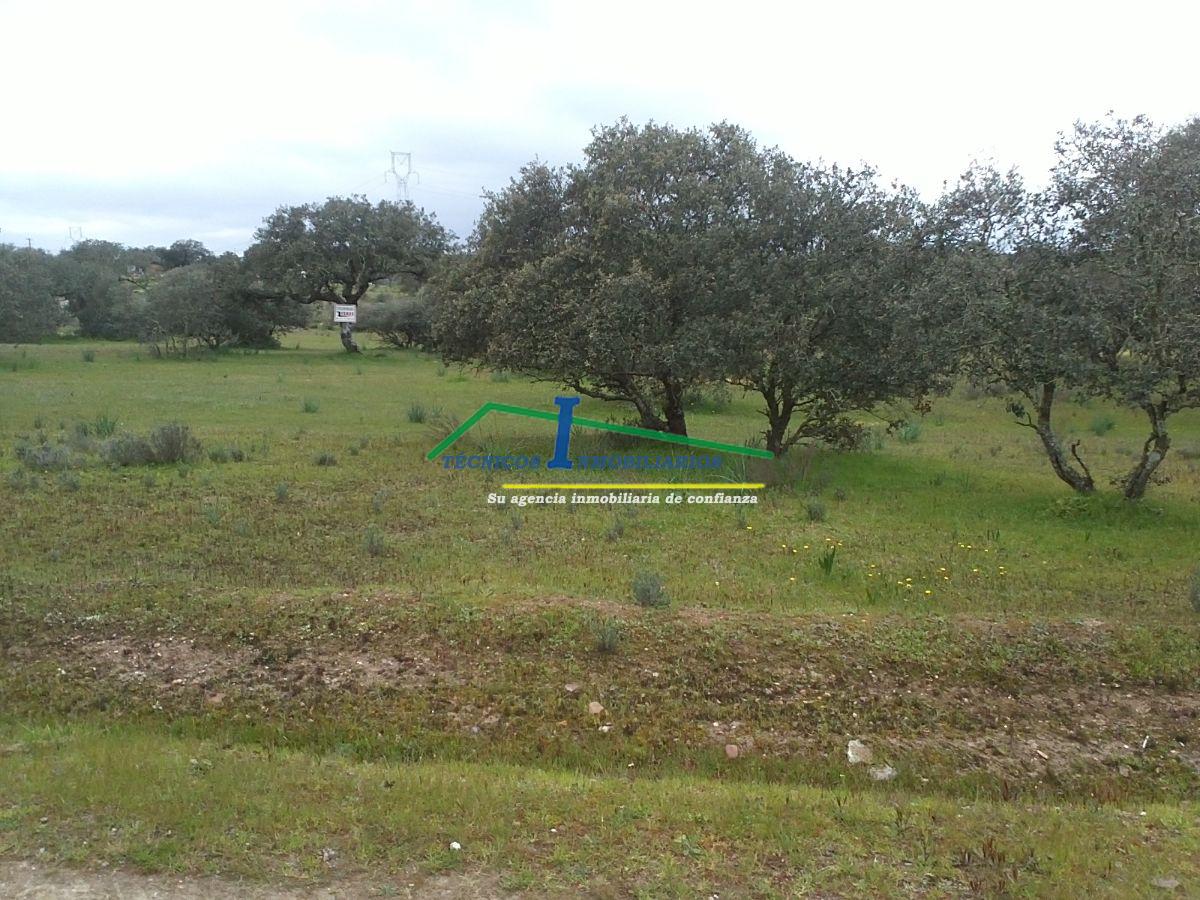 Venta de finca de recreo en Valverde de Mérida