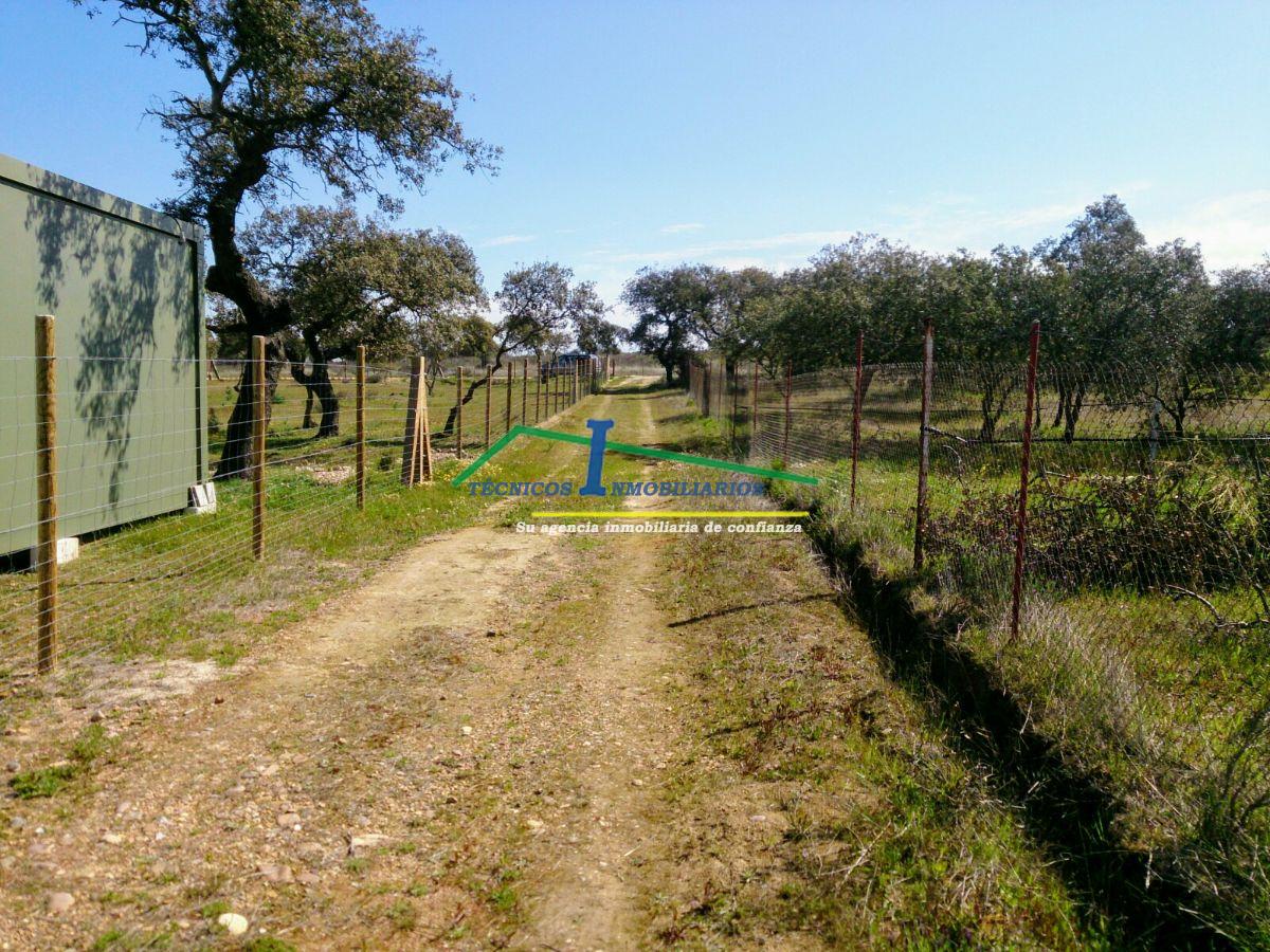 Venta de finca de recreo en Valverde de Mérida