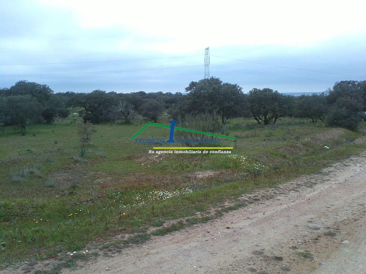 Venta de finca de recreo en Valverde de Mérida