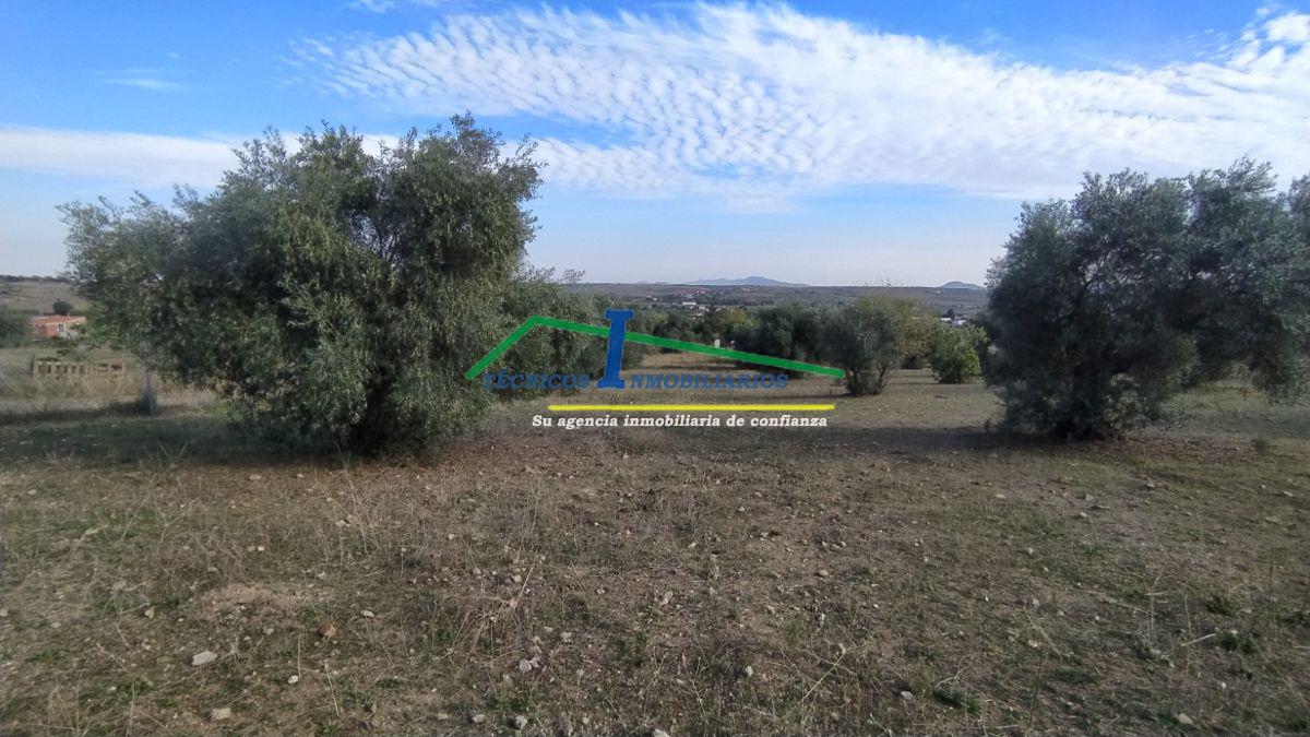 For sale of land in Mérida