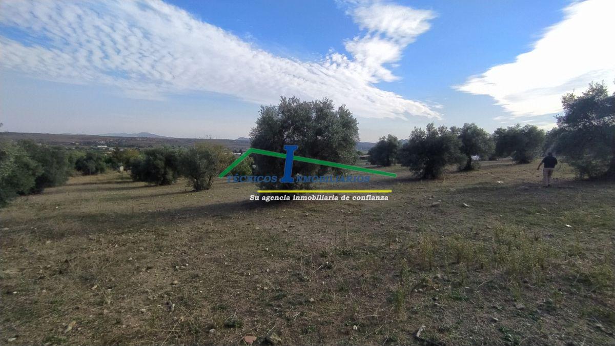 For sale of land in Mérida