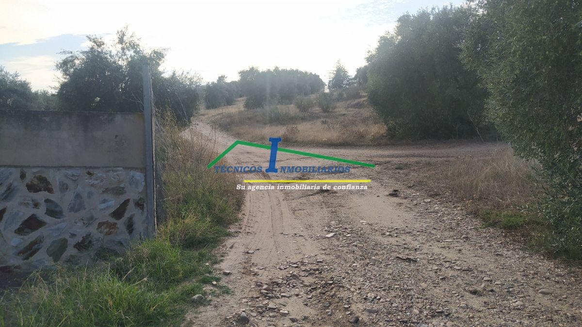 For sale of land in Mérida