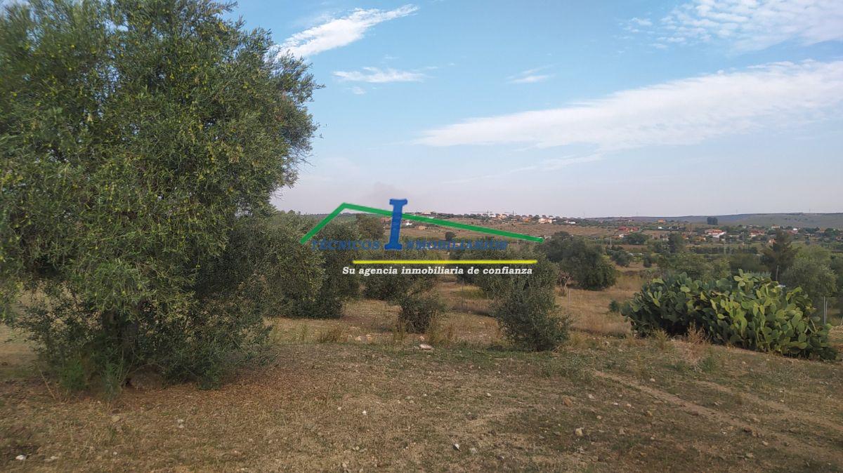 For sale of land in Mérida