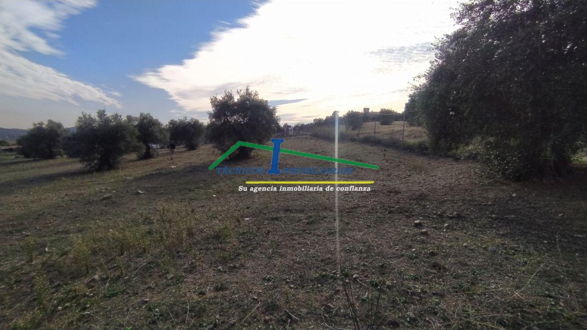 For sale of land in Mérida