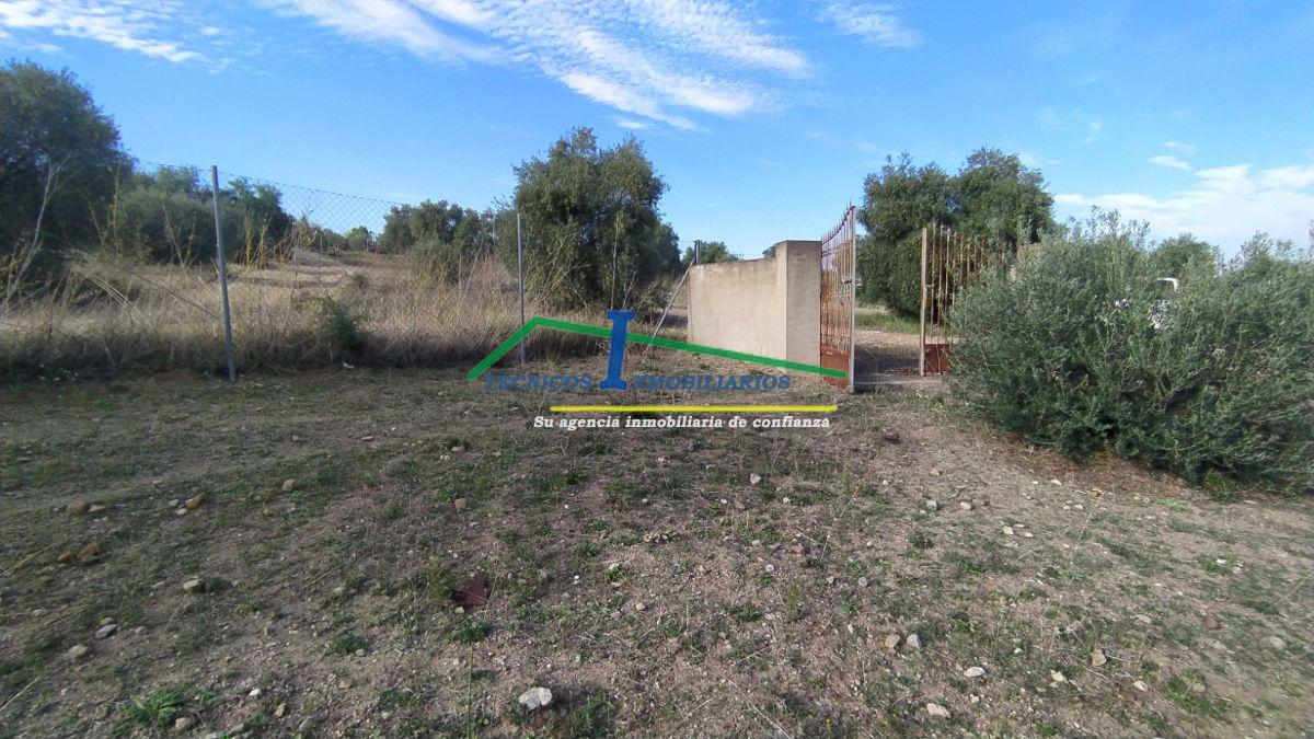 For sale of land in Mérida