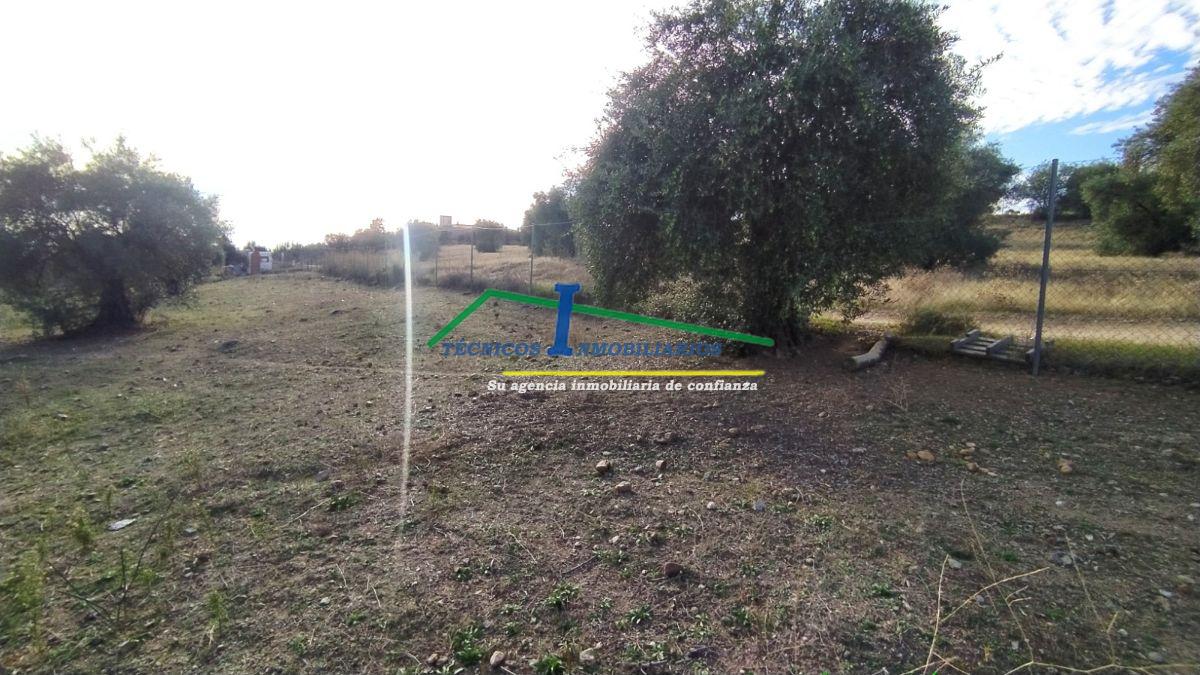For sale of land in Mérida