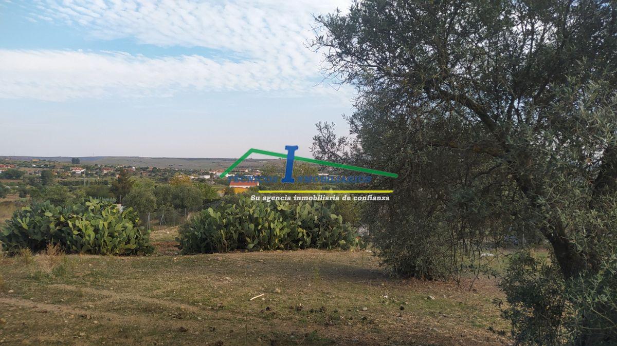 For sale of land in Mérida