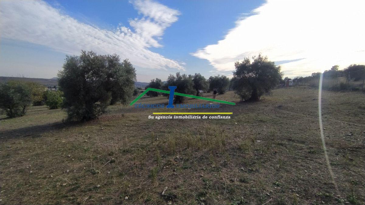 For sale of land in Mérida