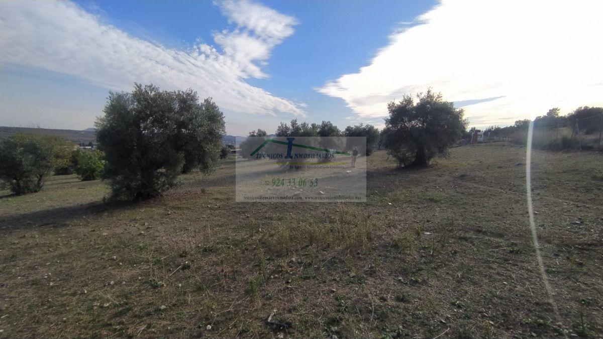 For sale of land in Mérida