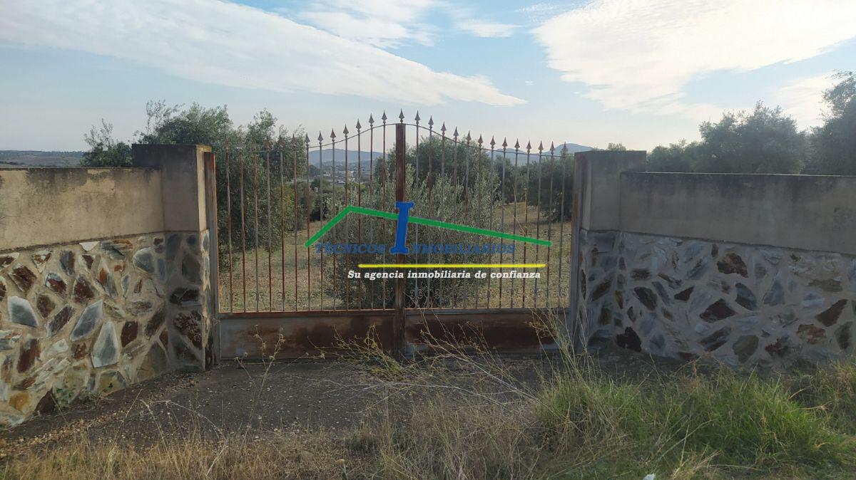 For sale of land in Mérida