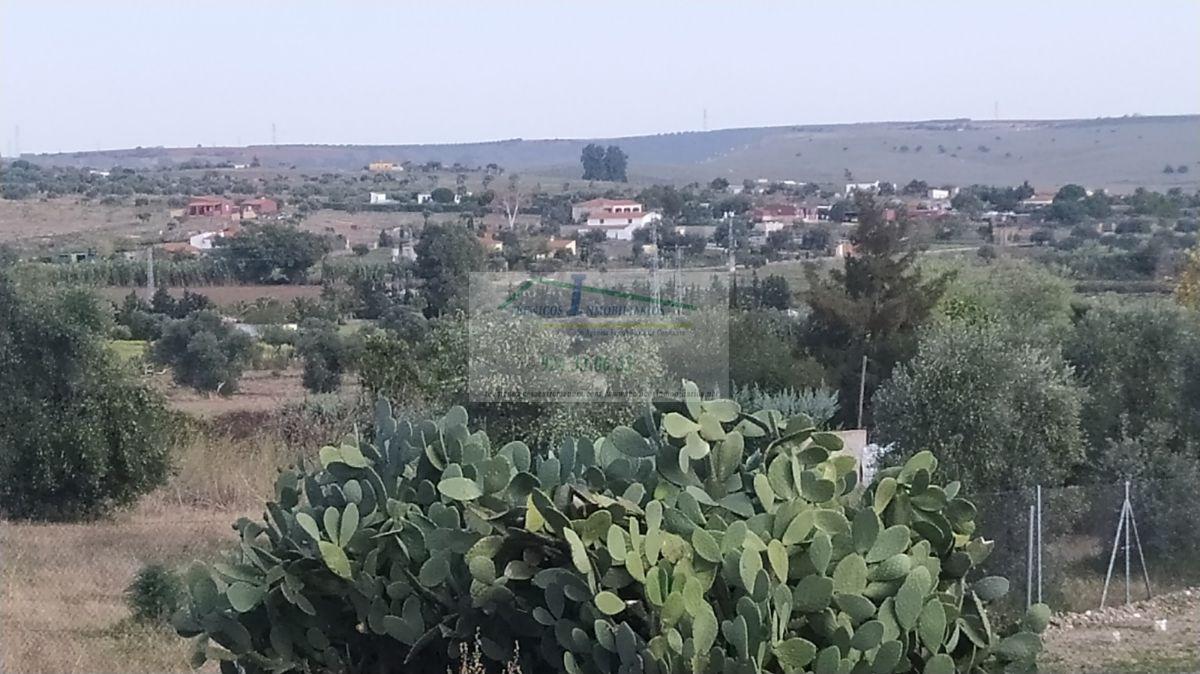 Köp av marken i Mérida