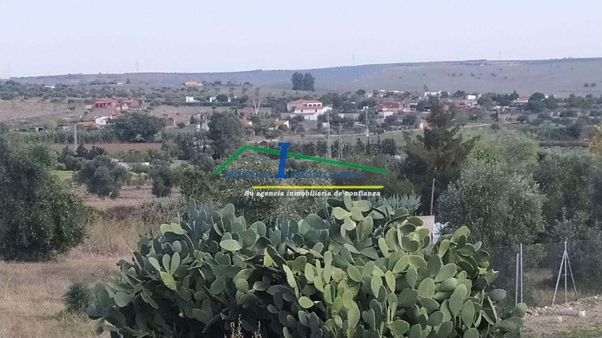 For sale of land in Mérida