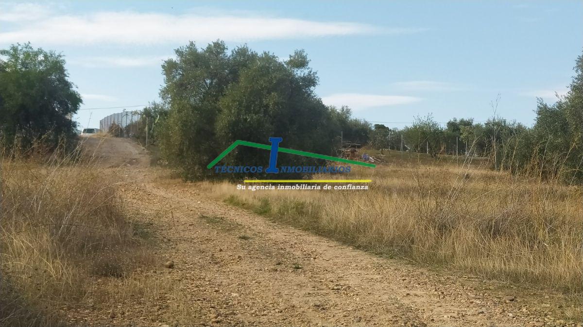 For sale of land in Mérida