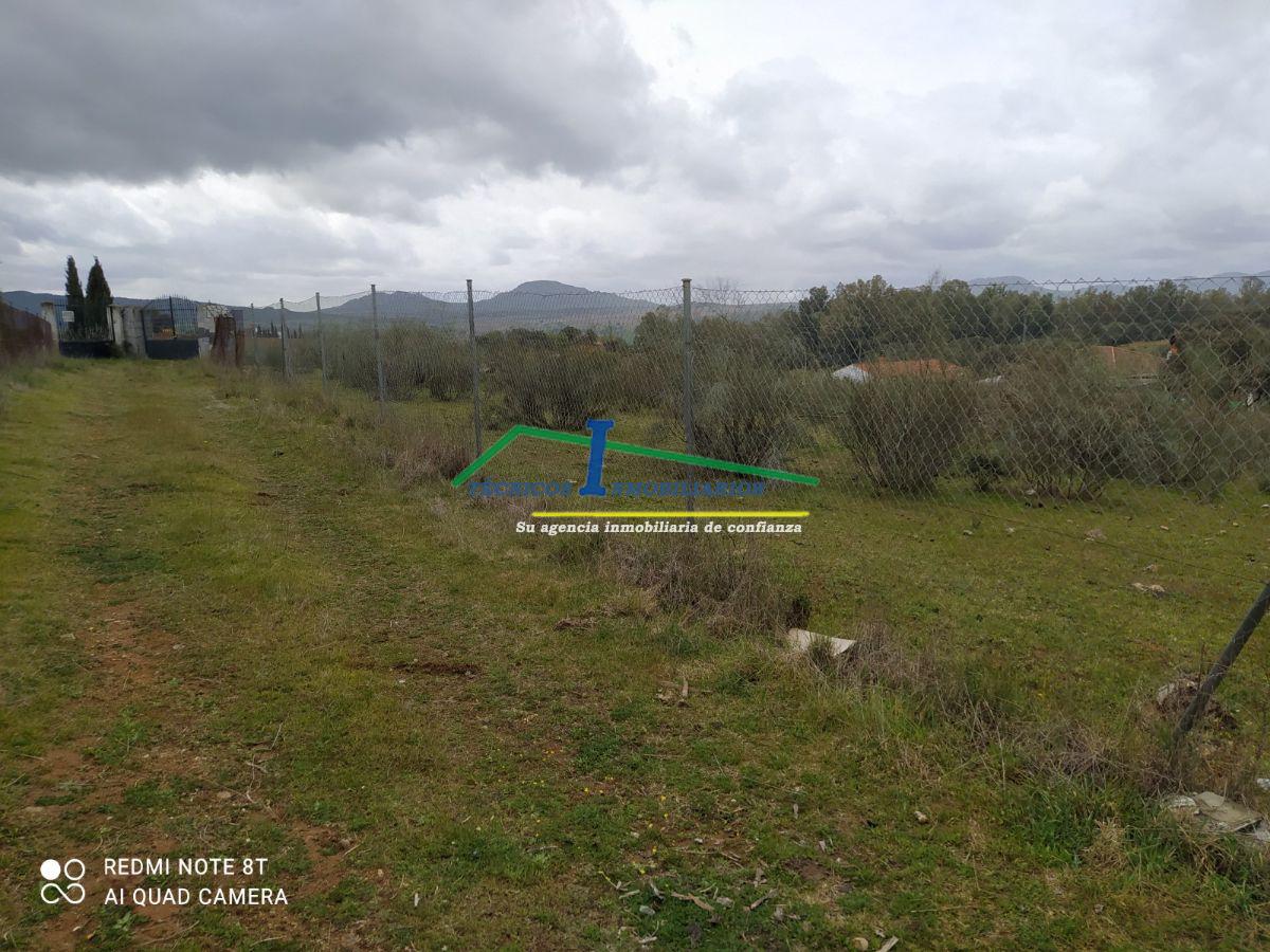 Venta de finca de recreo en Don Álvaro Venta de finca de recreo en Don Álvaro