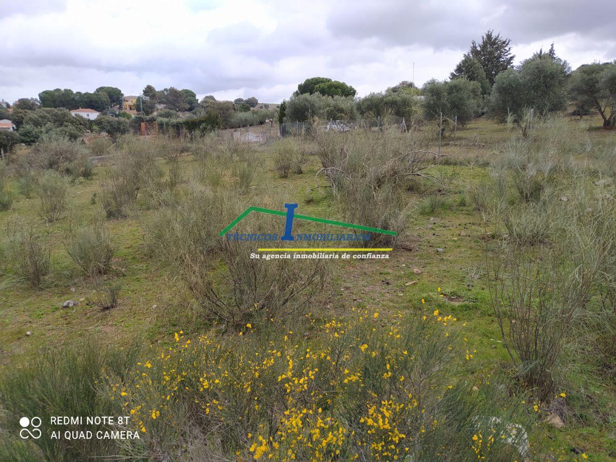 Venta de finca de recreo en Don Álvaro Venta de finca de recreo en Don Álvaro