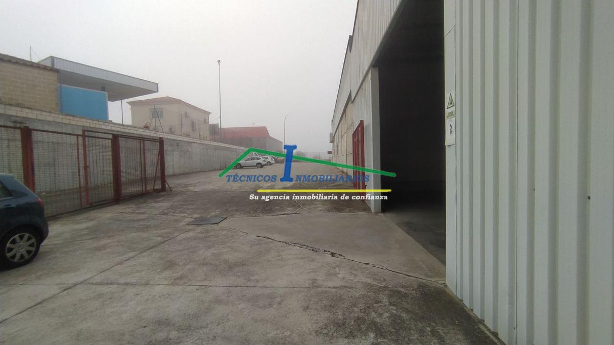 De location de navire industrielle dans Mérida