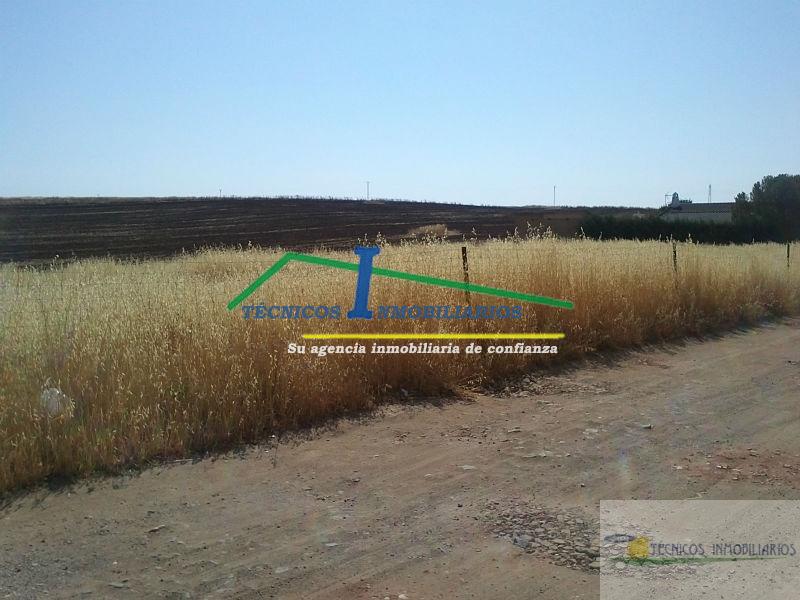 For sale of land in Mérida
