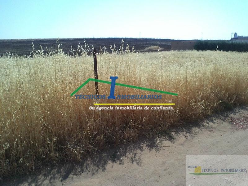 For sale of land in Mérida